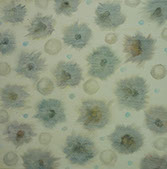 Hüllen aufsteigend blau